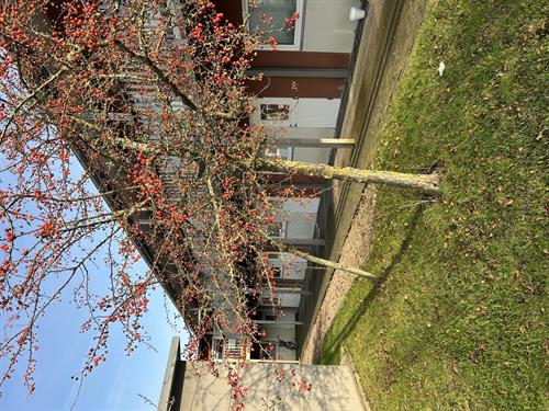 Fiolvägen 58D lgh 1001